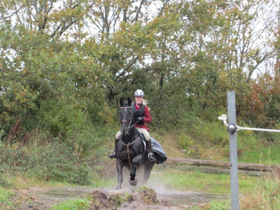 Oldenborg Damgaardens Martine - En meget glad rytter og hest:) billede 9