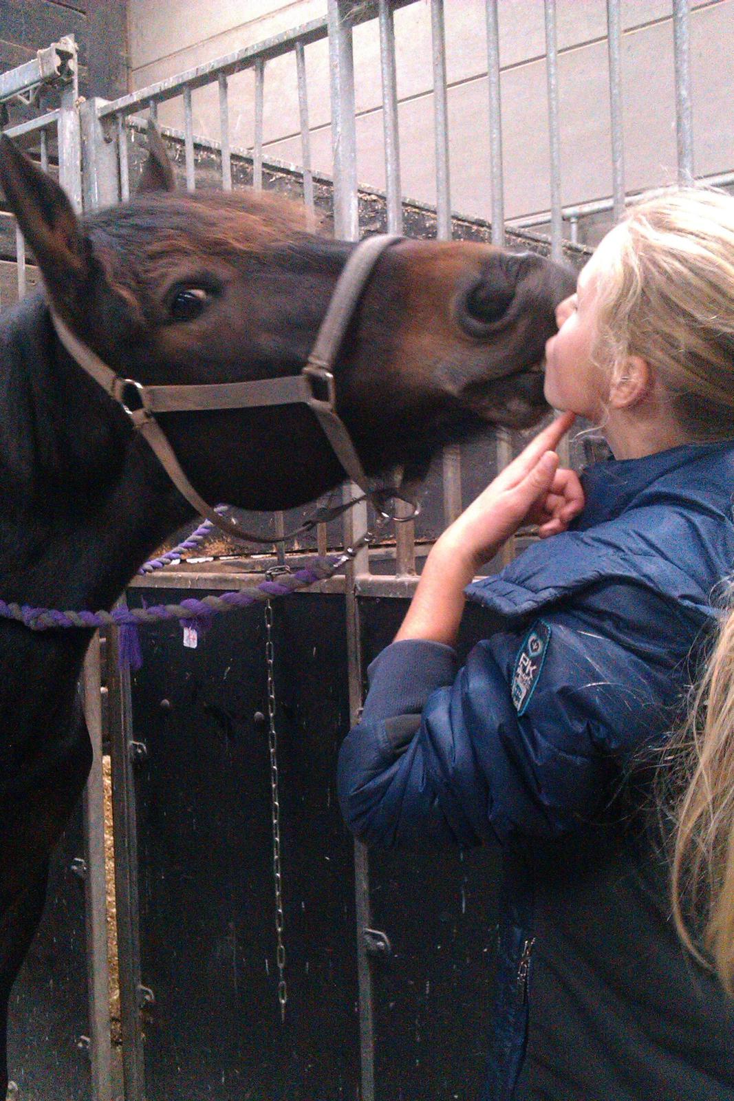 New Forest Dalgaardens Figaro - kysse kan han også:-) billede 5