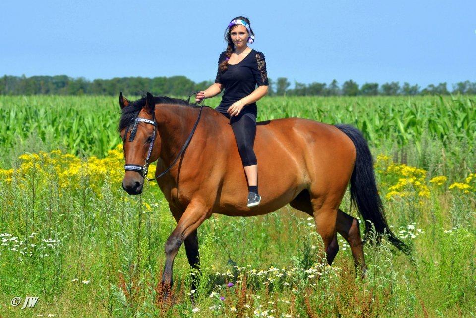 Anden særlig race Stauslykkes Le'Cato - © JW august 2012
Alle billeder er taget af June Wehlast. INGEN BILLEDER MÅ KOPIERES UDEN TILLADELSE OG UDEN BILLEDETEKST MED FOTOGRAF JUNE WEHLAST. billede 1