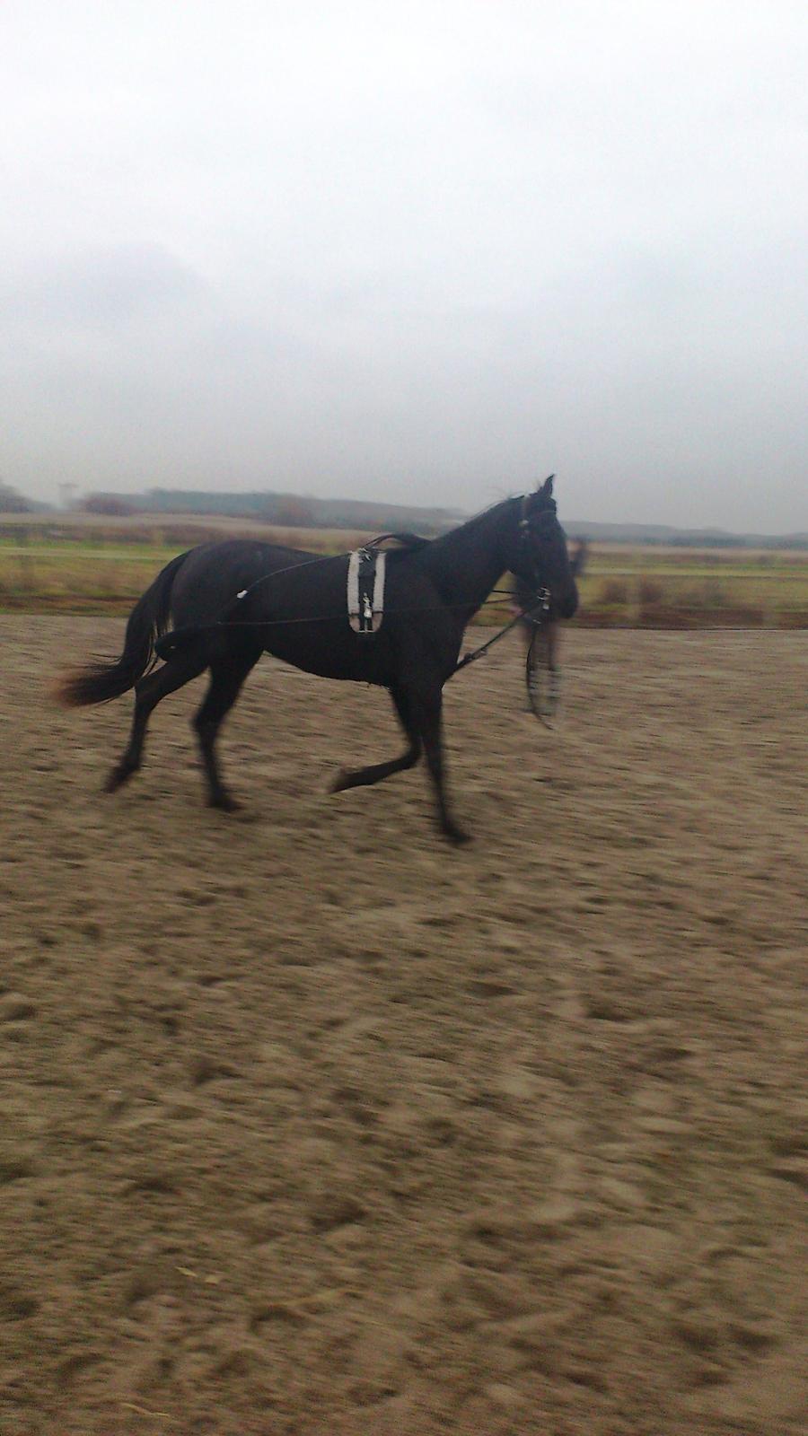 Traver Trendy Simoni ¤Leveret tilbage¤ - Søster og Kosten kan bare det der med at longere ;) billede 15