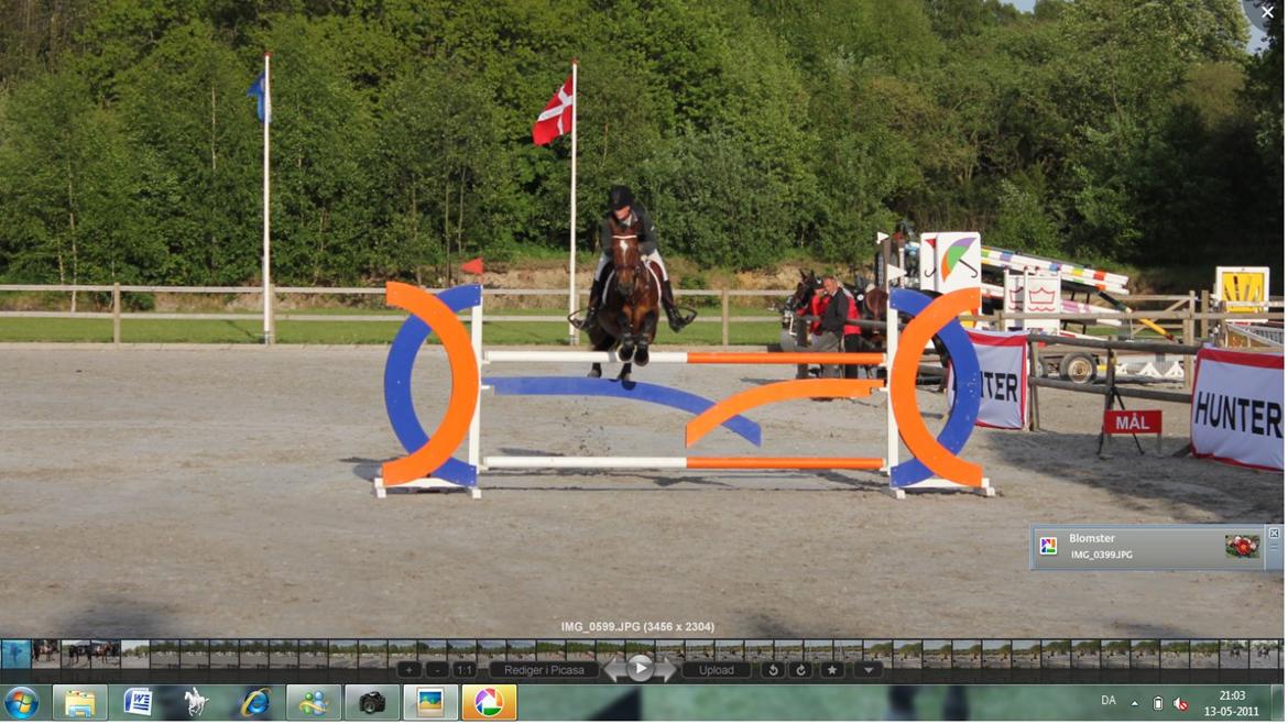 Irsk Sportspony Beauty Of Tricklebrook - Baltic Cup 2011 billede 3