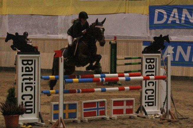 Irsk Sportspony Beauty Of Tricklebrook - Baltic Cup billede 4