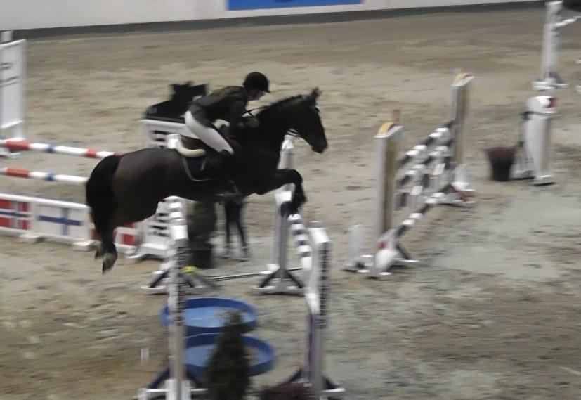 Irsk Sportspony Beauty Of Tricklebrook - Baltic Cup - første S <3 billede 5