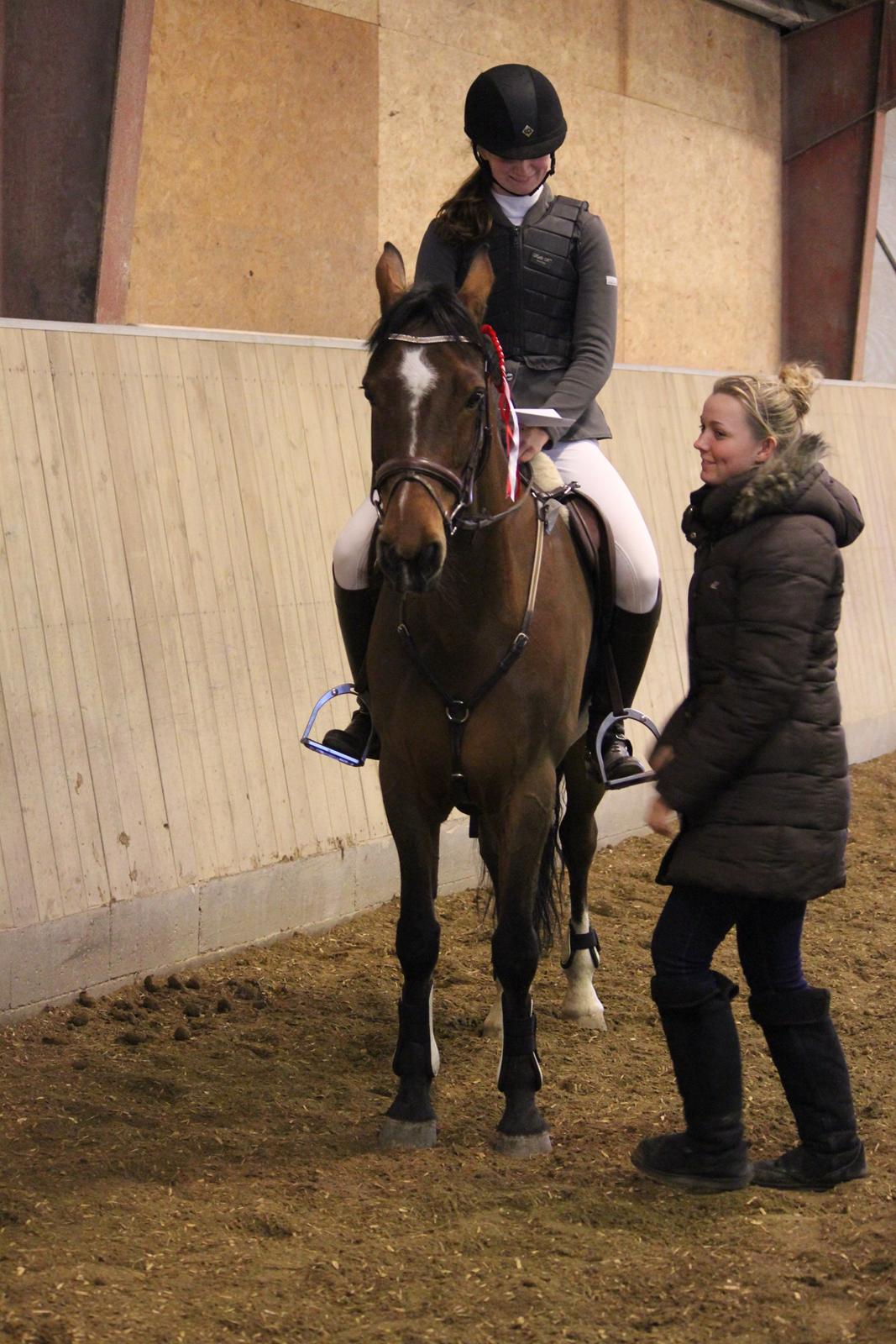 Irsk Sportspony Beauty Of Tricklebrook - Vinder MB <3 billede 8