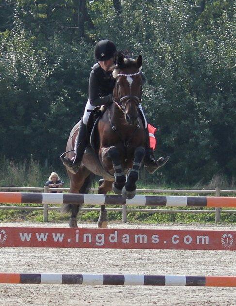 Irsk Sportspony Beauty Of Tricklebrook - DM'11 billede 10