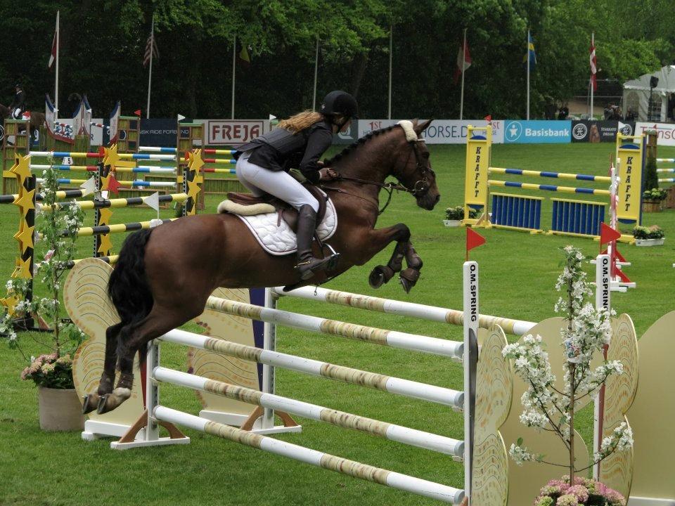 Irsk Sportspony Beauty Of Tricklebrook billede 12