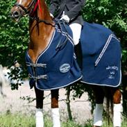 Hollandsk Sportspony Naomi R.I.P