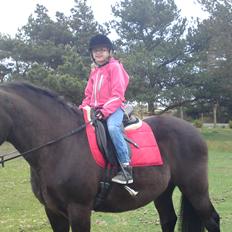 Anden særlig race lindholms black solgt