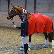 Dansk Varmblod Saksgaards Light Foot #Klubmester#