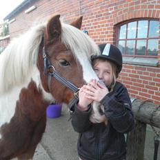 Anden særlig race Pablo P.