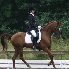 Hollandsk Sportspony Naomi R.I.P