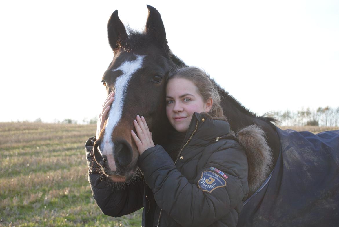 New Forest Equile's Maurita - Verdens bedste pony! Min bedste ven <3 <3 billede 10