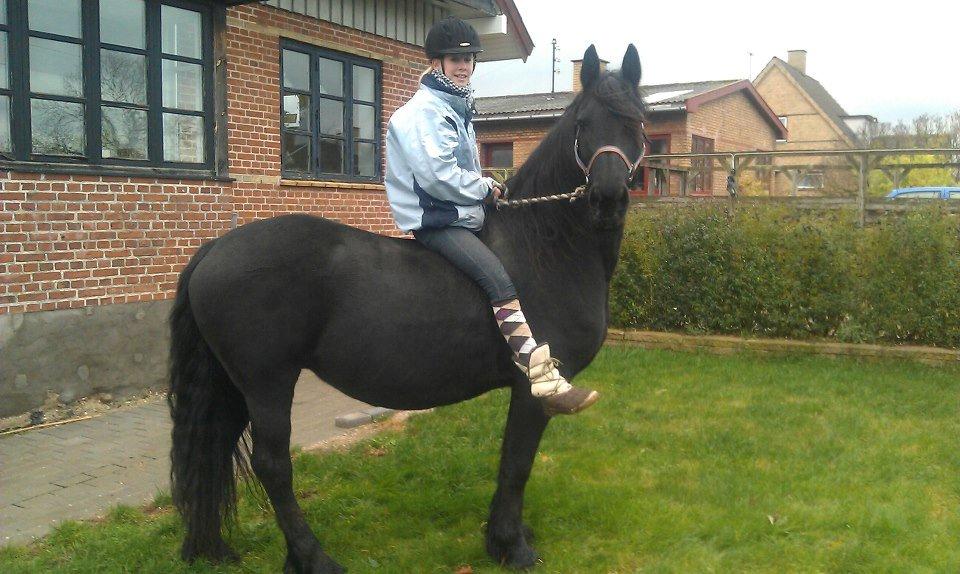 Frieser Mynthe - en tur hjemme i haven. billede 4