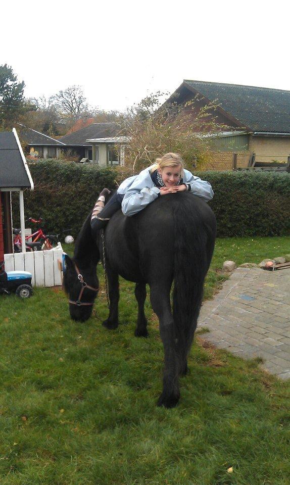 Frieser Mynthe - en tur hjemme i haven;) billede 8