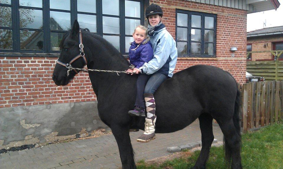 Frieser Mynthe - søster får en sidde tur på trunten hjemme i haven<<3 billede 9