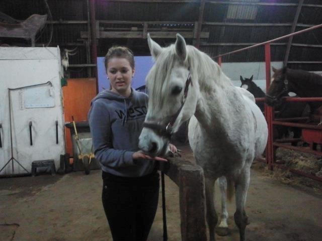 Shagya Araber (SH) Cheval - Første gang vi mødets  billede 4