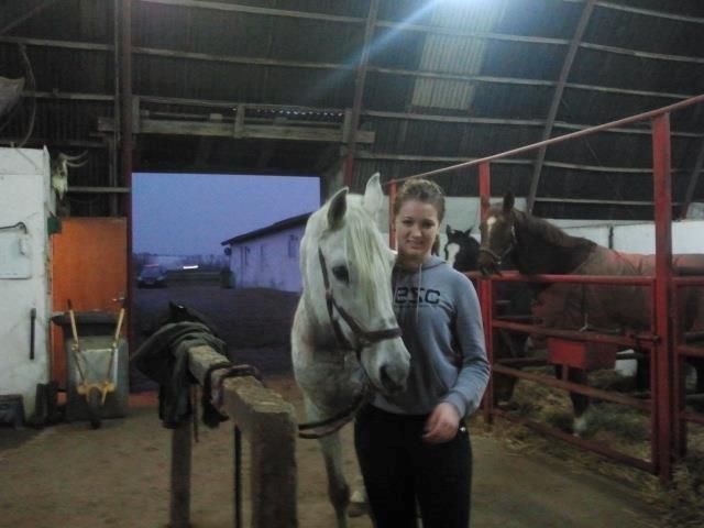 Shagya Araber (SH) Cheval - Mig og Cheval<3 billede 5