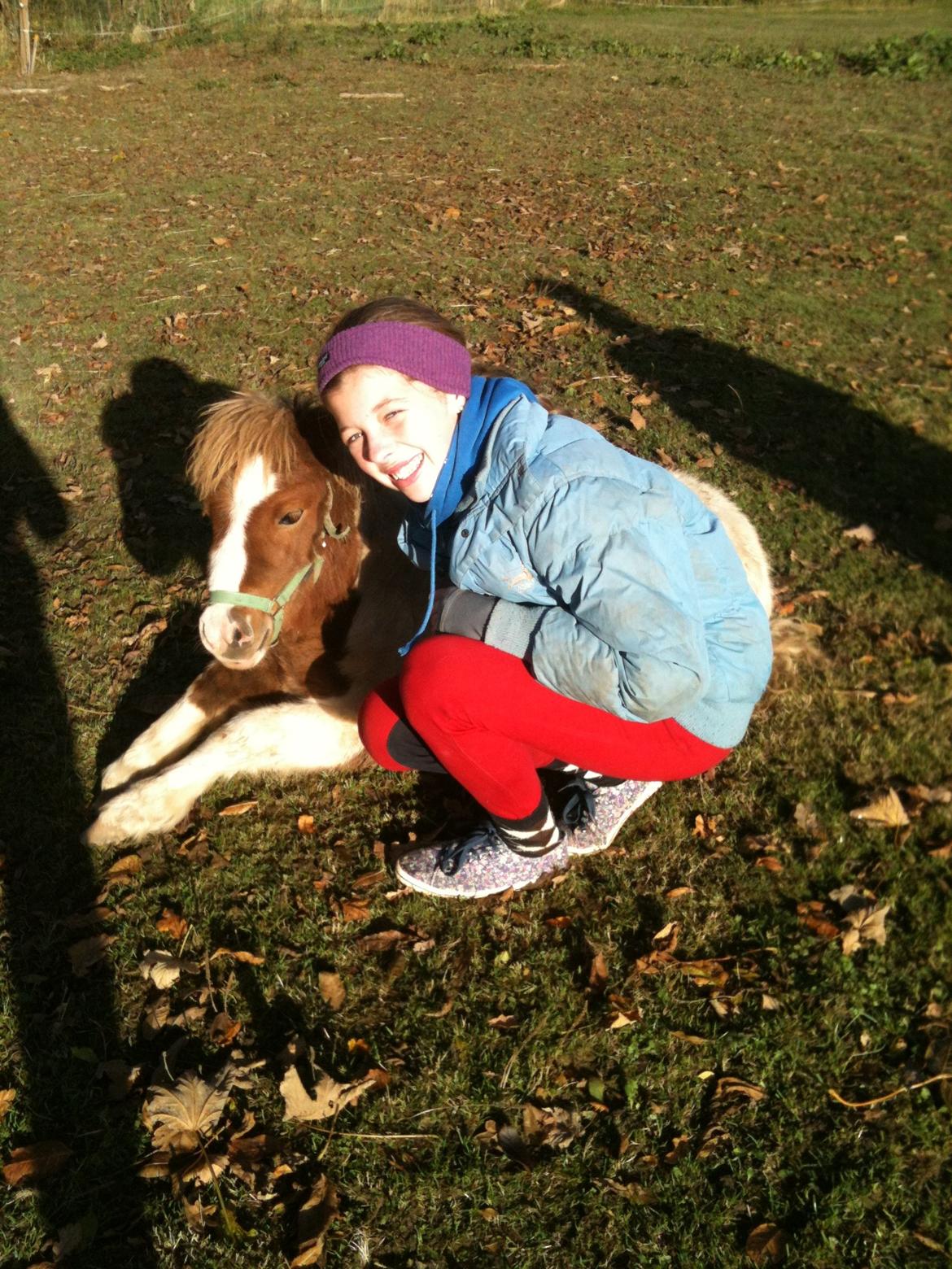 Shetlænder Choco<3 - Efterår/vinter 2012 billede 17