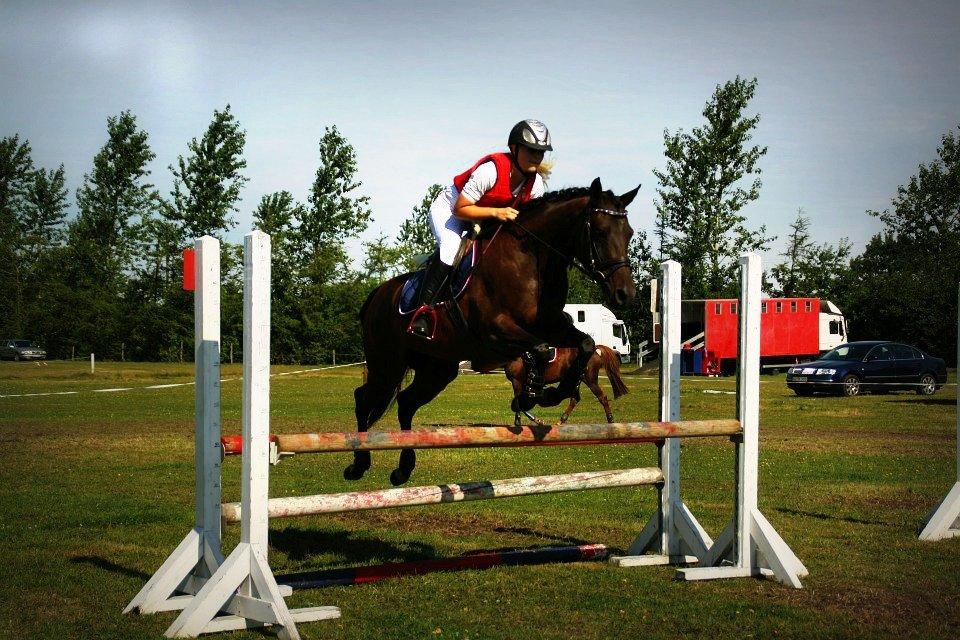 DSP Day-lights naomi - Billed: DGH photo
redigeret: Mig
opvarmning bording, enden første starte hvor vi styrtede på sidste spring efter en ellers flot nulrunde :,( men hun er slf. på toppen igen og godt igang med LAerne :) billede 26