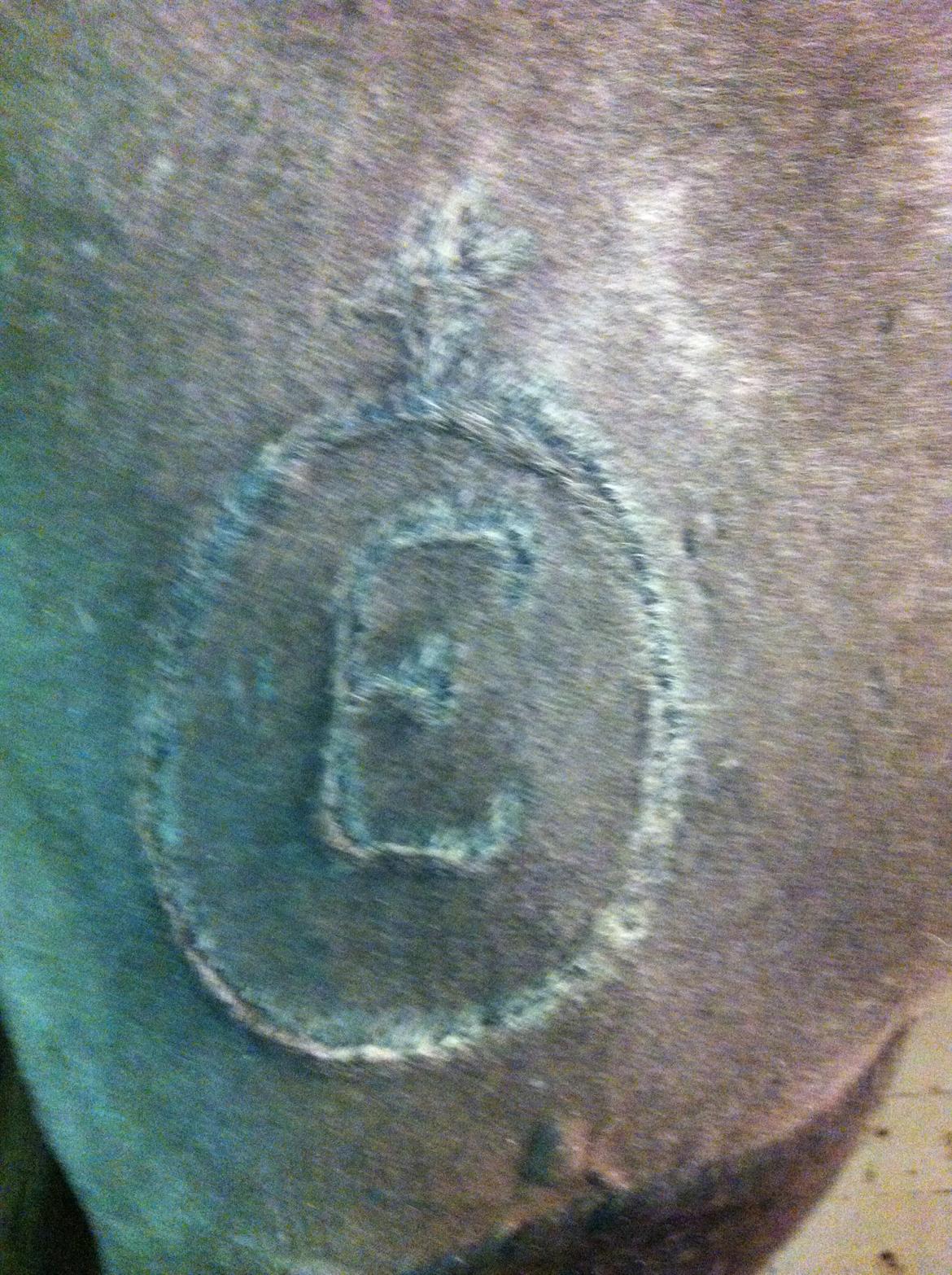 Cruzado Liva *himmel hest* billede 13