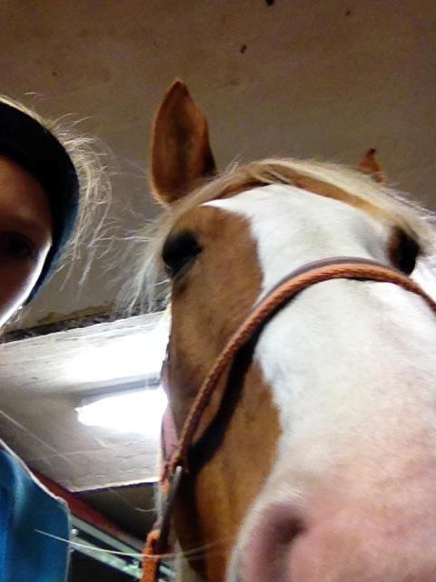 Anden særlig race sally billede 6