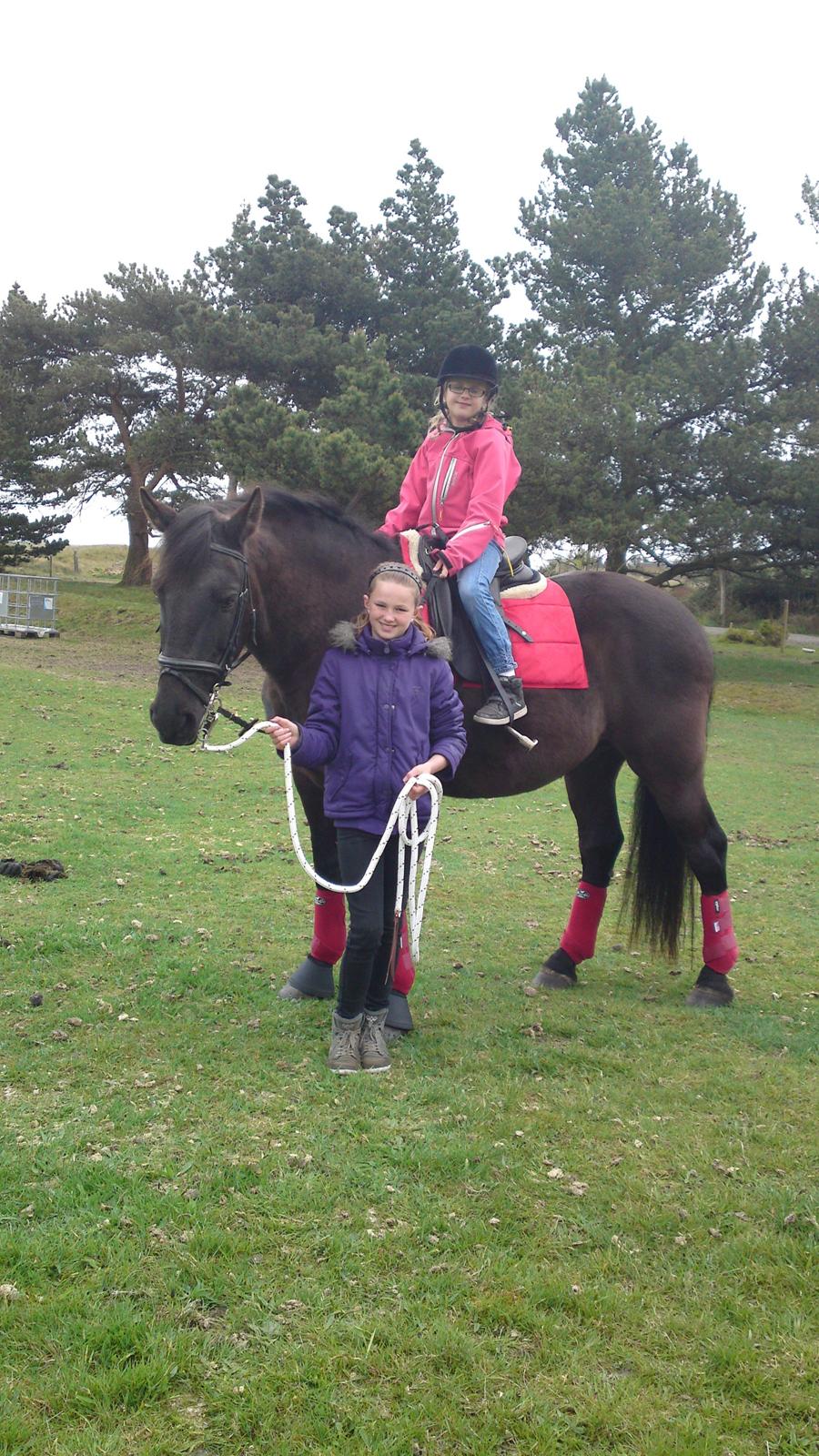 Anden særlig race lindholms black solgt - her hygger han sig med min mosters to piger billede 1