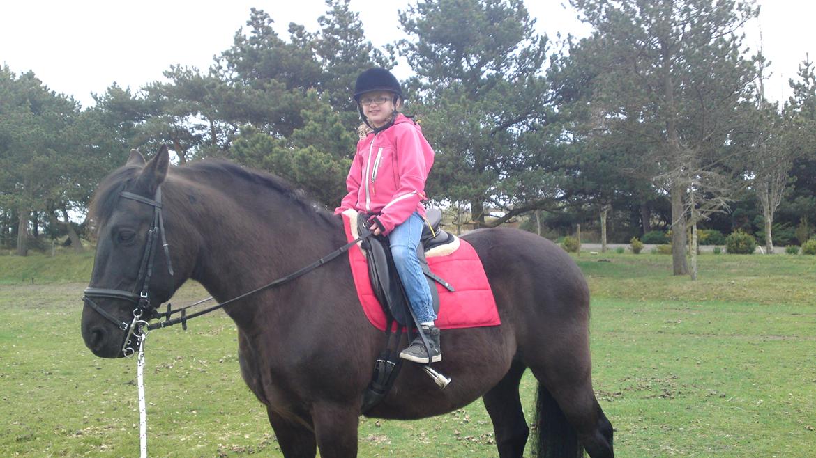 Anden særlig race lindholms black solgt billede 3