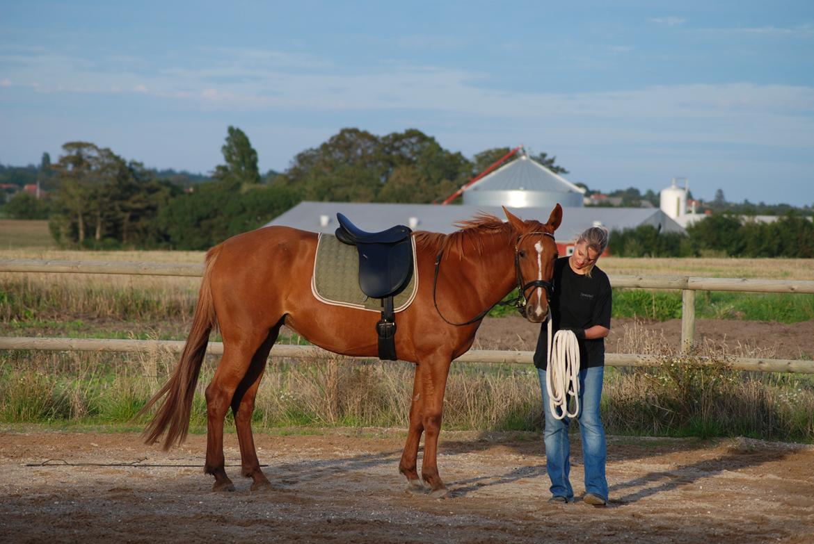 Traver sødte - sommer 2008. Foto. Thomas billede 14