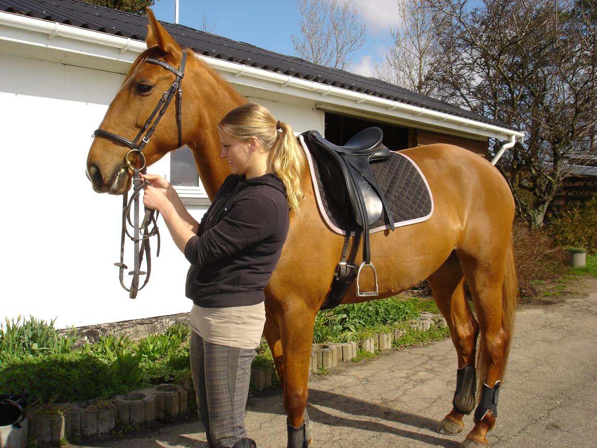 Traver sødte - Forår. 2011. Foto. Marianne billede 10