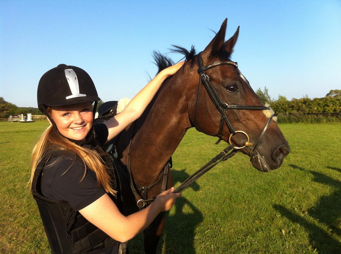 Dansk Varmblod Egges Vendetta - Min smukke skat :-* billede 2