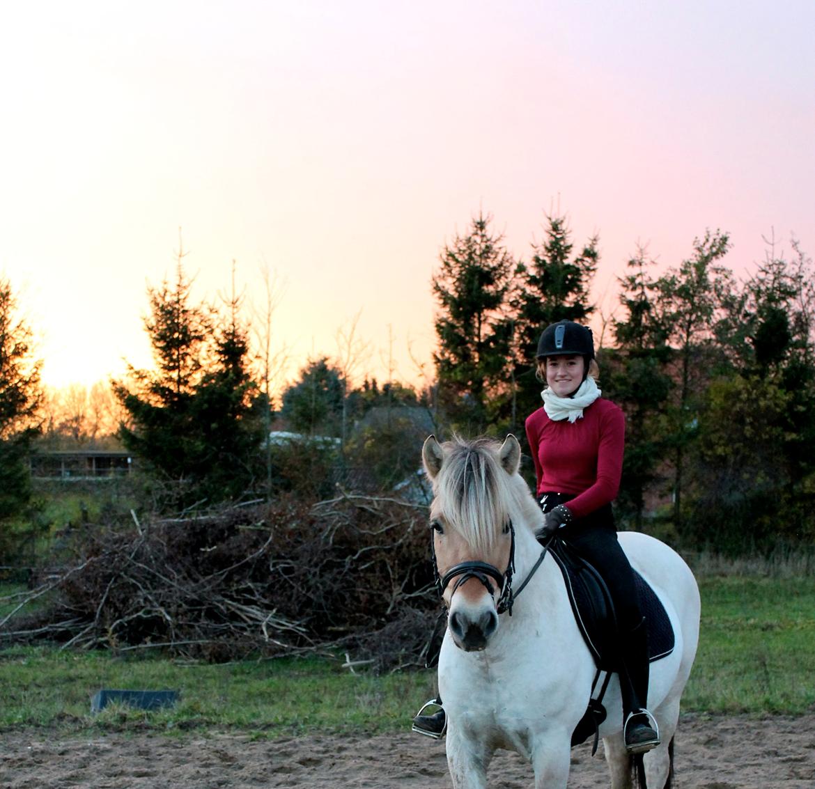 Fjordhest Atlet Bjergby - November 2012 -  Altet <3  billede 34