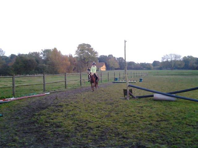 Anden særlig race maybe baby (låne pony) - første gang jeg prøver hende <3 billede 1