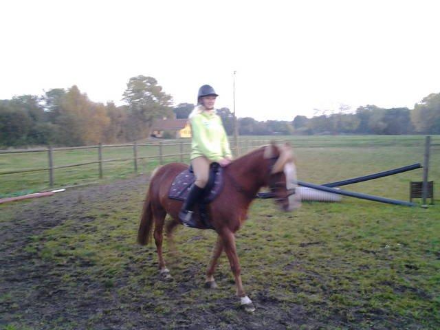 Anden særlig race maybe baby (låne pony) - første gang jeg prøver hende <3 billede 5