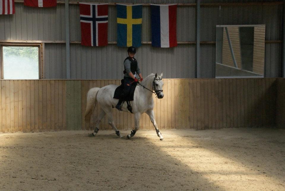 Connemara Solvang's Bastian - Opvarmning til springkursus hos Tina Lund :-D <3  billede 18