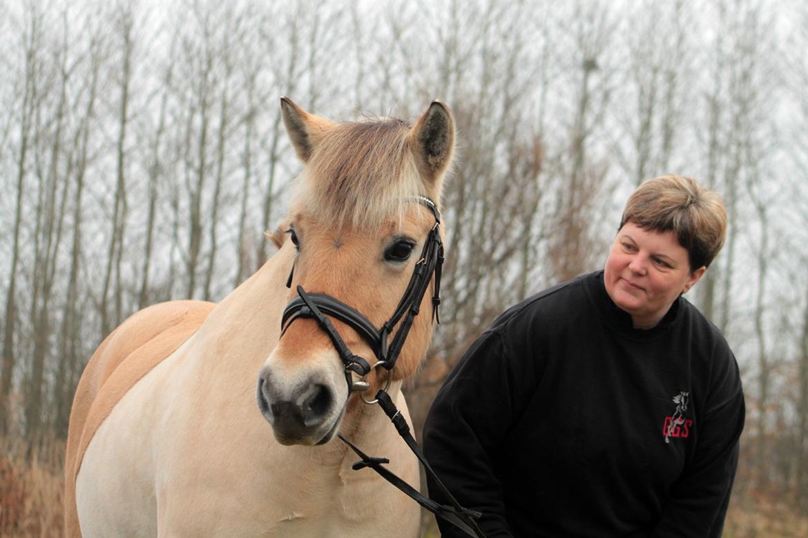 Fjordhest Thilde billede 8