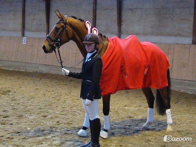 Dansk Varmblod Saksgaards Light Foot #Klubmester# - Vinder af klubmesterskabet 2012
Min stjerne! billede 1