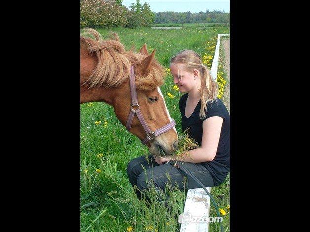 Anden særlig race maybe baby (låne pony) - i to er så søde sammen <3333 billede 10