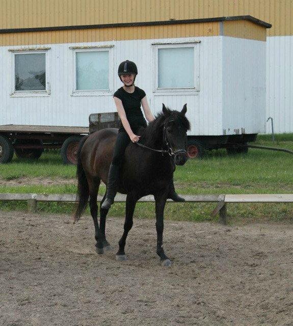 DSP Snorgaardens Mistrael [Rider ikke mere] - Foto: Tricia, Sommeren 2012 billede 10