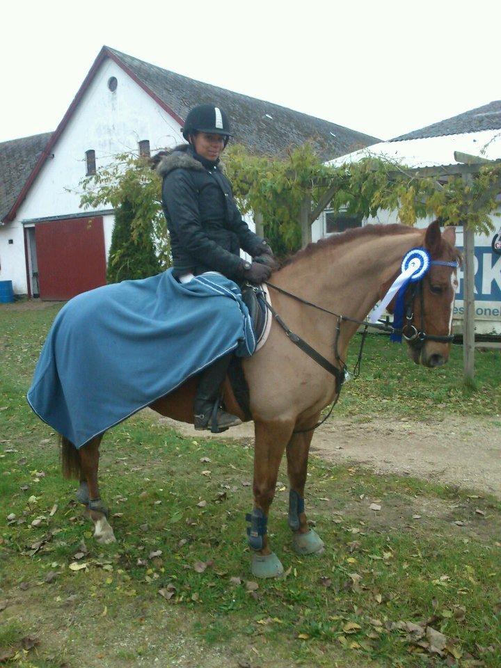 Anden særlig race Milla billede 1