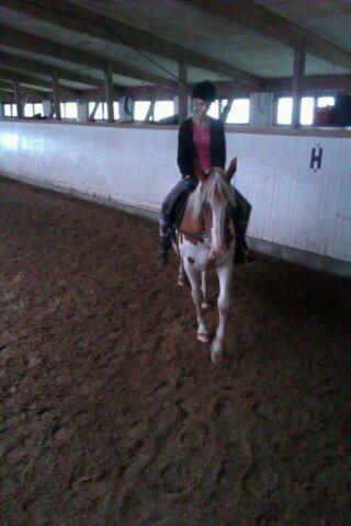 Anden særlig race sally billede 9