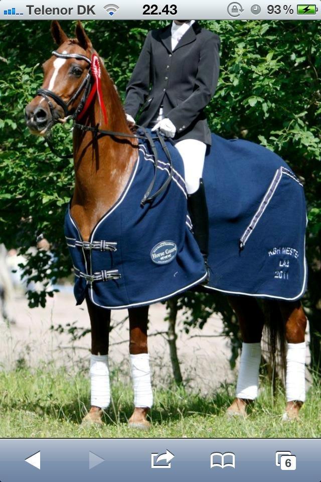 Hollandsk Sportspony Naomi R.I.P billede 2