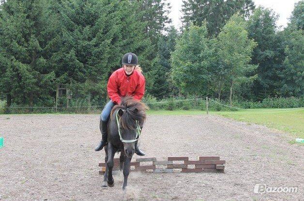 Anden særlig race Iceman billede 19