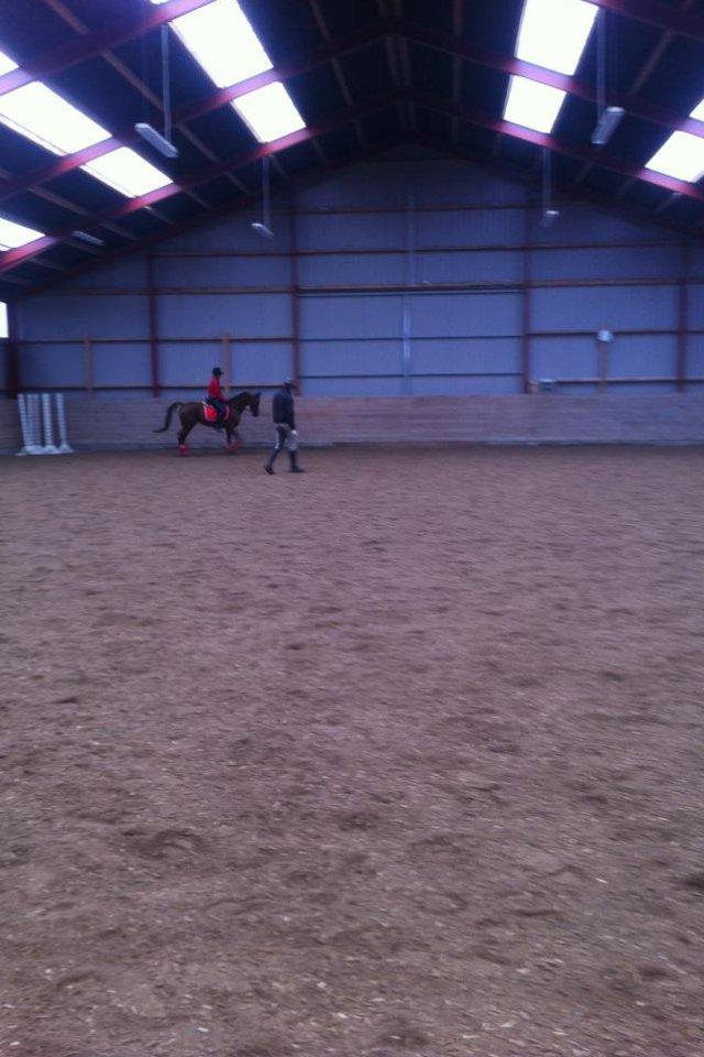Hollandsk Sportspony Naomi R.I.P billede 14