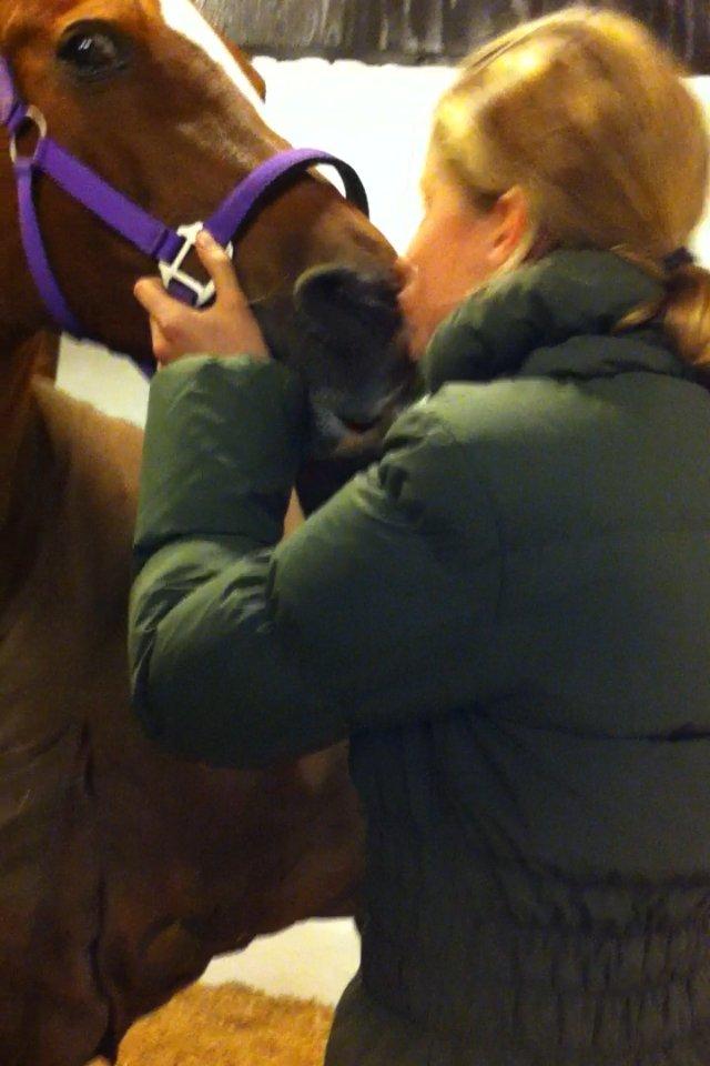Hollandsk Sportspony Naomi R.I.P - god nat skat billede 15