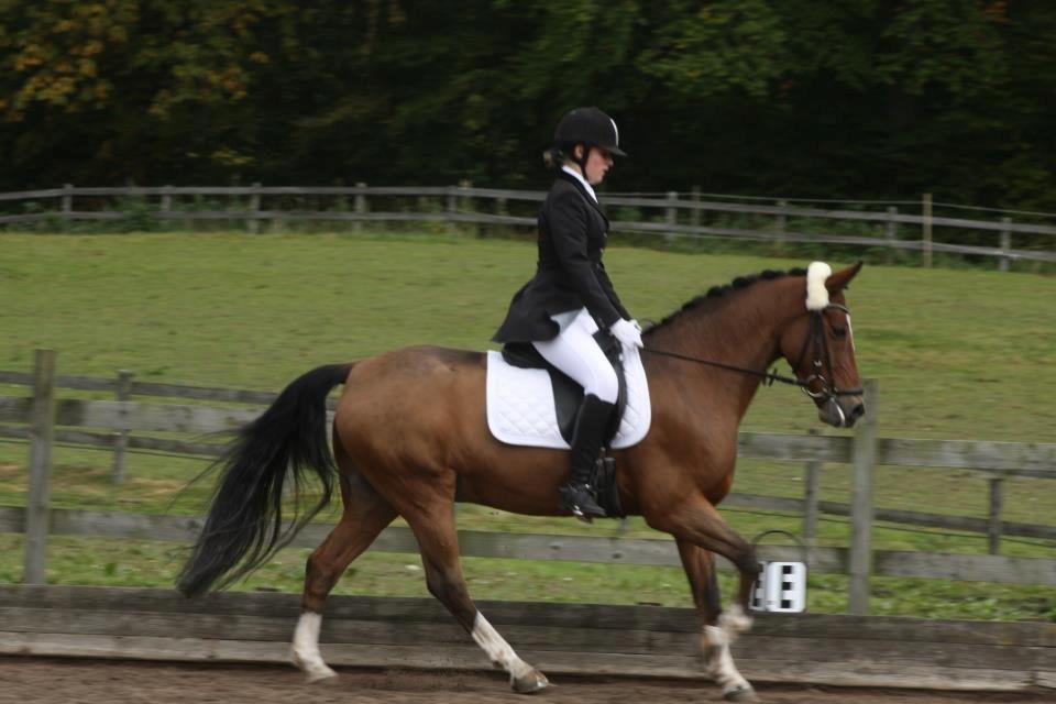 Hollandsk Sportspony Lykkebjerggård's Regal (SOLGT) - Det bedste ved ridningen er når ponyen elsker det den laver og ser glad og tilfreds ud :-)
LA3 på SPIP - god tur! <3 billede 12