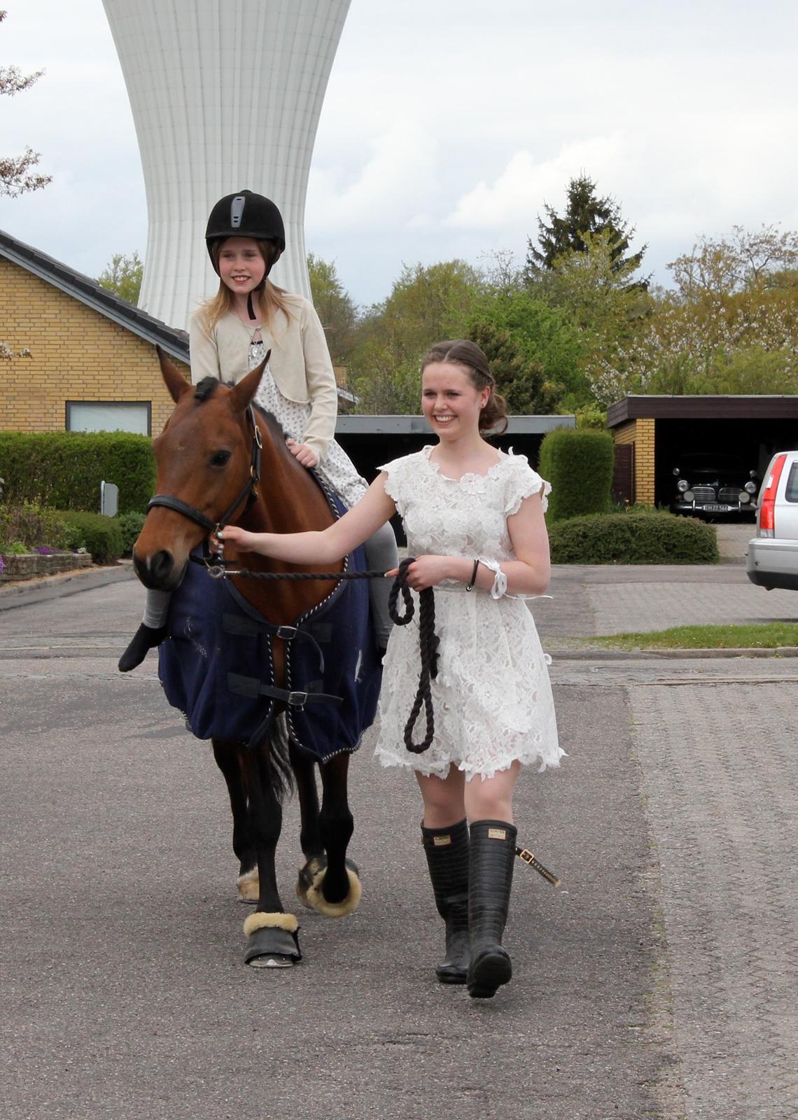 DSP Røgild's Selina B-pony - Ved min konfirmation billede 3