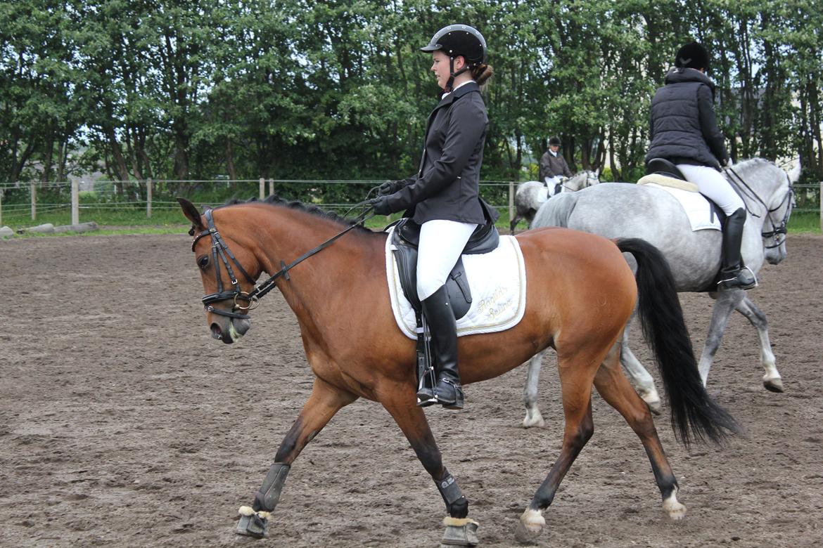 DSP Røgild's Selina B-pony - Stævne i Ebberup billede 5