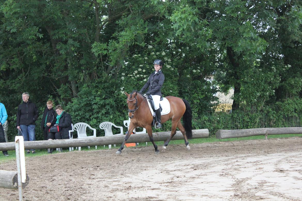DSP Røgild's Selina B-pony - I Ebberup med en MEGET sød pony på en Meget mudret bane! billede 6