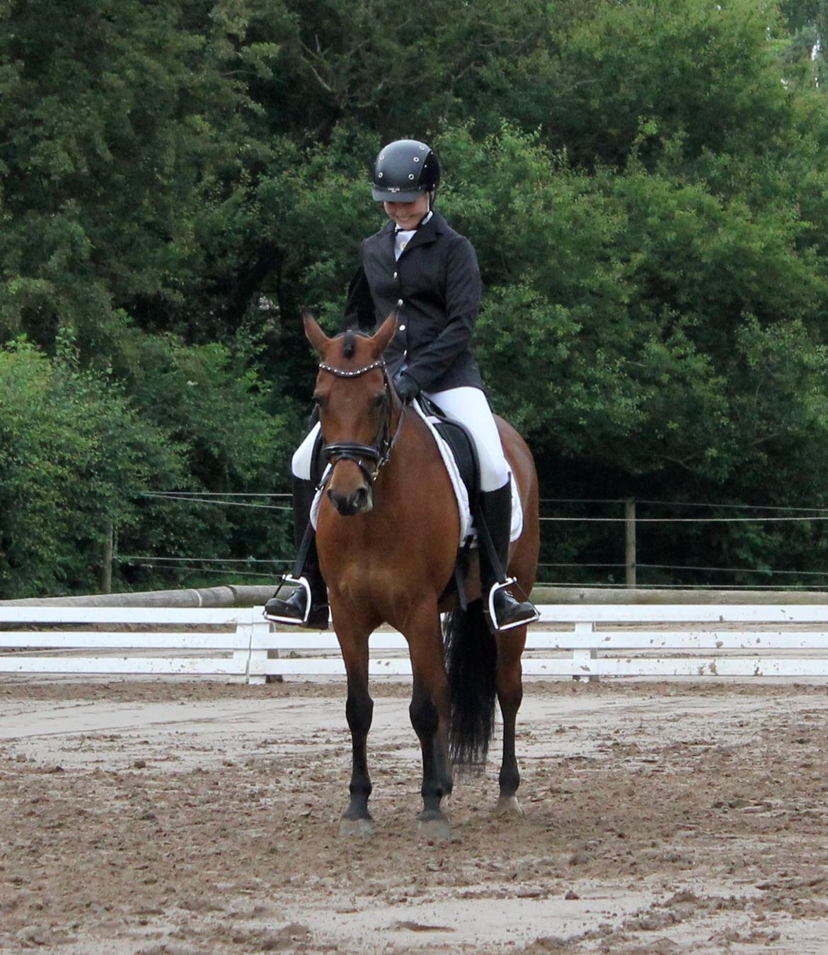 DSP Røgild's Selina B-pony billede 7