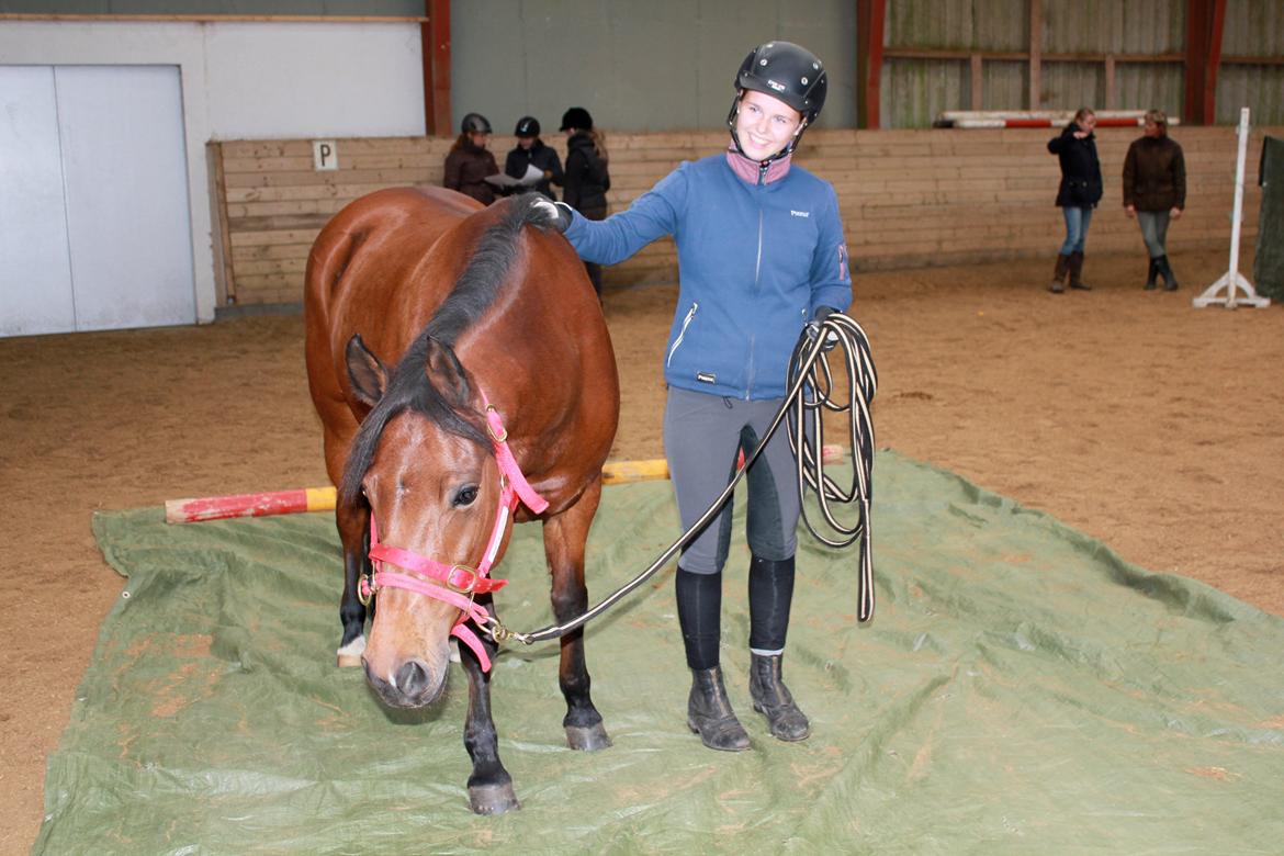 DSP Røgild's Selina B-pony - Vi turde godt;-) billede 12
